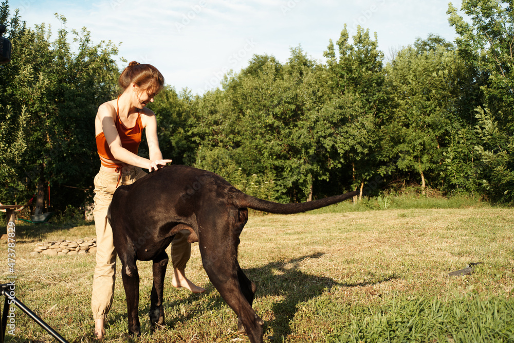 cheerful woman playing dog outdoors in the field of friendship cheerful woman playing dog outdoors in the field of friendship
