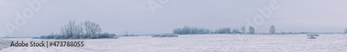 Panorama Overgrowth, bushes, trees and meadow in snow and magical frost. Winter fairy-tale landscape © pro2audio