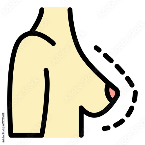 Breast female correction icon. Outline breast female correction vector icon color flat isolated