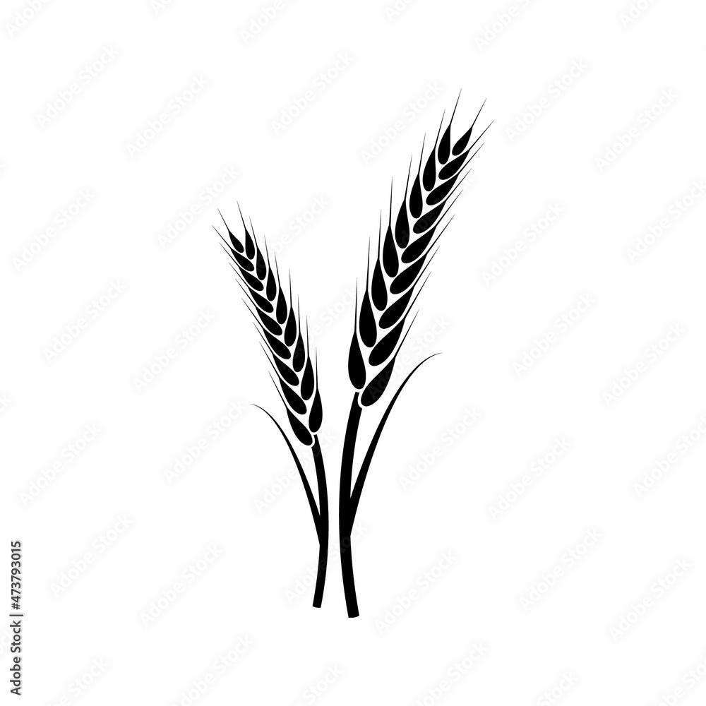 wheat vector icon