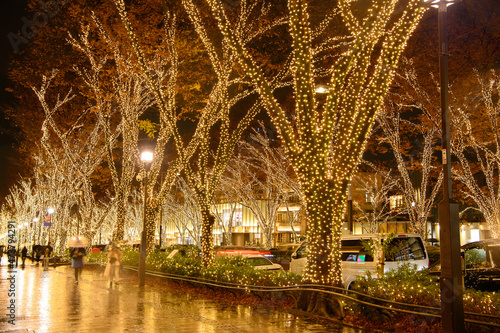 雨の表参道のクリスマスイルミネーション