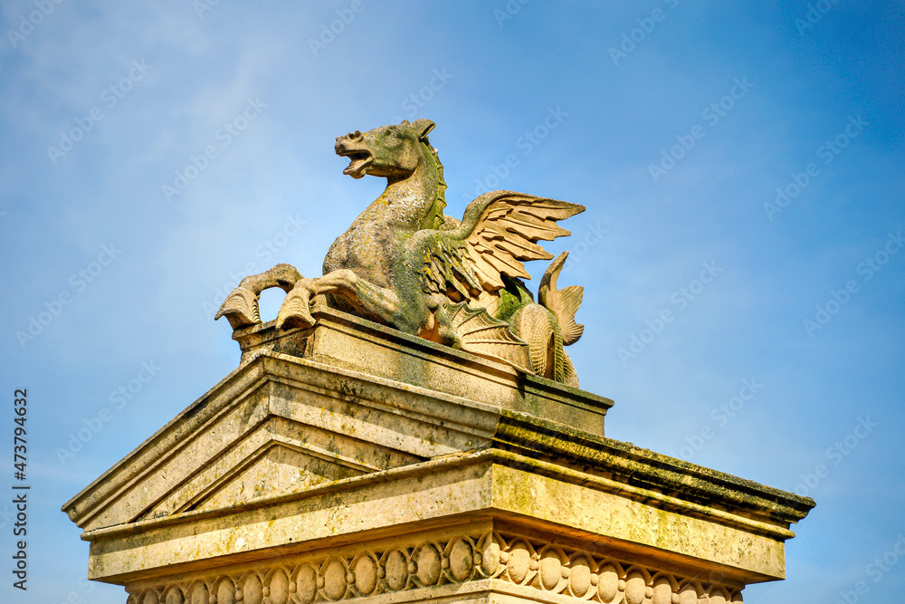 Obraz premium Pferd - Mischwesen - 