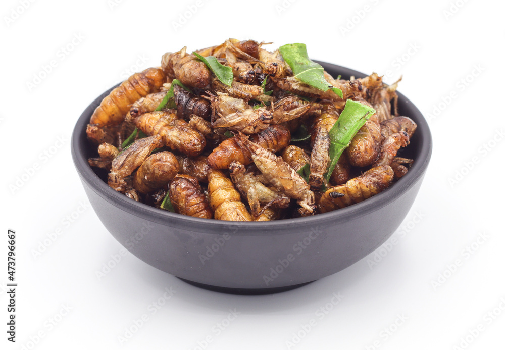 Fried insects, fried crickets with grasshoppers and kaffir lime leaves in a black cup with separate servings on a white background Fried insects, fried crickets with grasshoppers and kaffir lime leaves in a black cup with separate servings on a white background