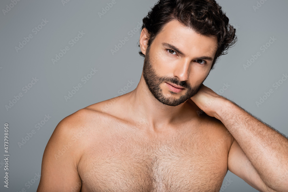 Fototapeta premium portrait of bearded man looking at camera isolated on grey