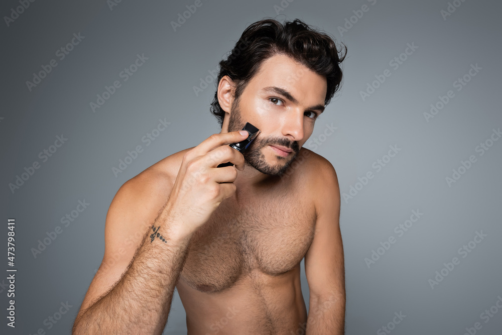 Fototapeta premium young shirtless man trimming beard isolated on grey