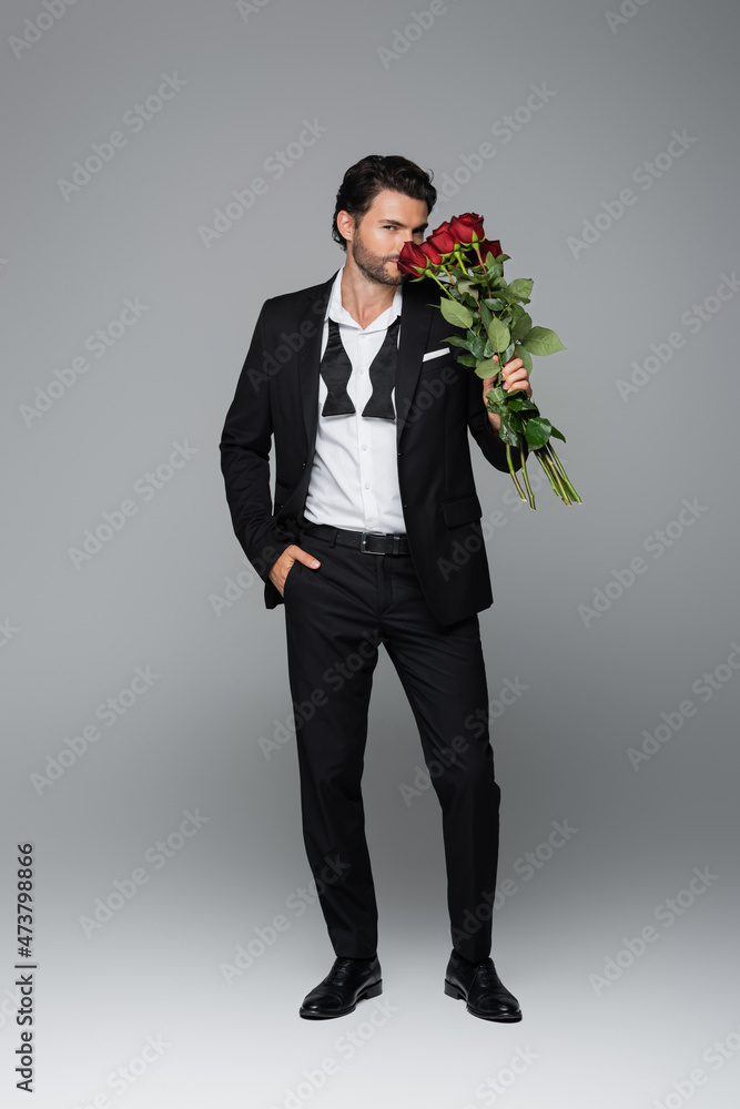 full length of bearded man in suit smelling red roses while standing with hand in pocket on grey full length of bearded man in suit smelling red roses while standing with hand in pocket on grey