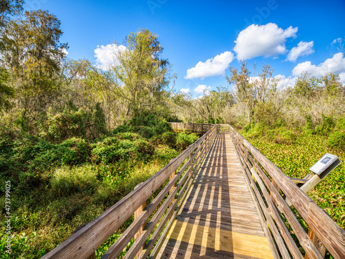 Wooden boardwalk in Lettuce Lake Park in Hillsborough County in Tampa Florida USA