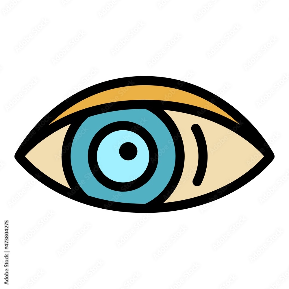 Human eye icon. Outline human eye vector icon color flat isolated