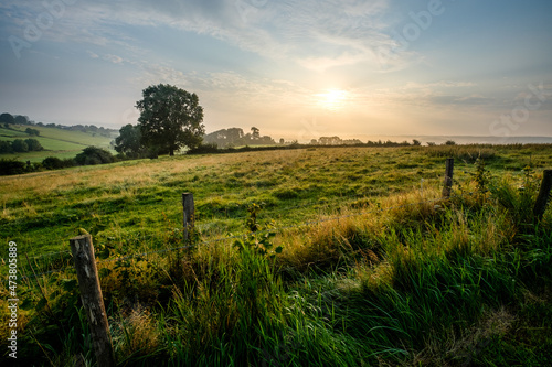 Hills with fields and tree