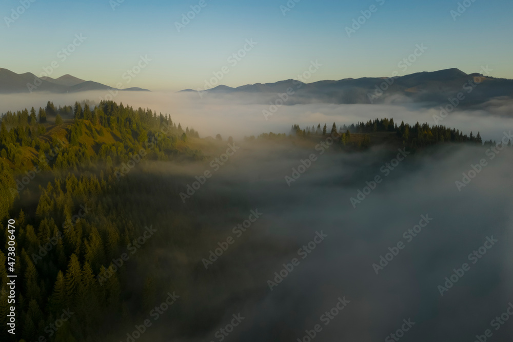 Aerial view of beautiful landscape with misty forest in mountains