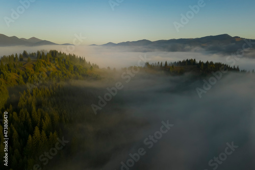 Fototapeta Naklejka Na Ścianę i Meble -  Aerial view of beautiful landscape with misty forest in mountains