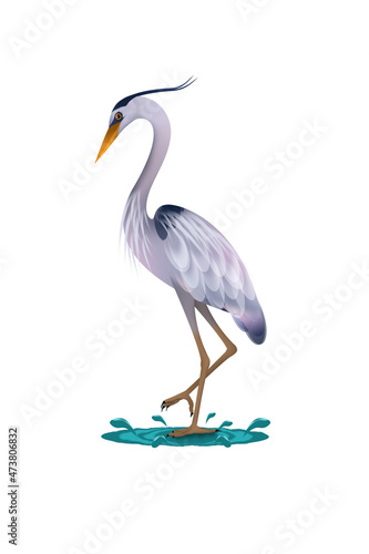 Fototapet Blue heron illustration