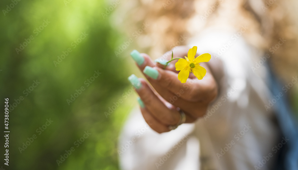 Woman's hand holding yellow flower Woman's hand holding yellow flower