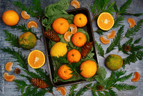 Fresh bright tangerines, oranges, lemons with green fir branches on a blue background. Cozy winter mood, top view