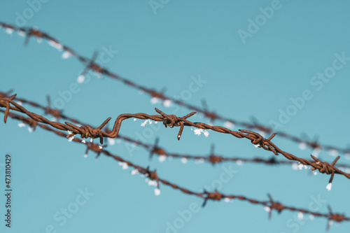 Frozen barbed wire