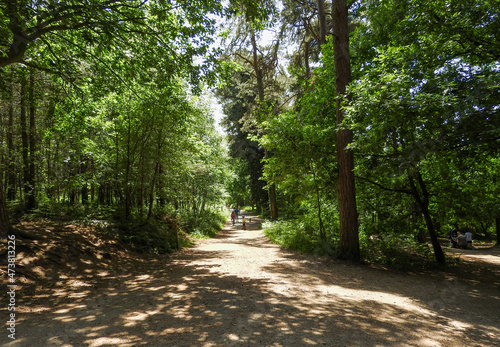 alley in the park