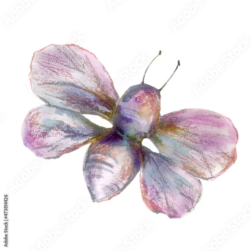 watercolor and pastel tropical butterfly in vintage hand drawn style on white isolated background for use in design, print, summer