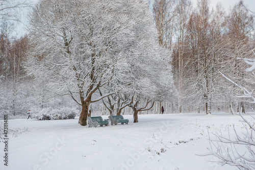 скамейка в парке под деревом зима снег