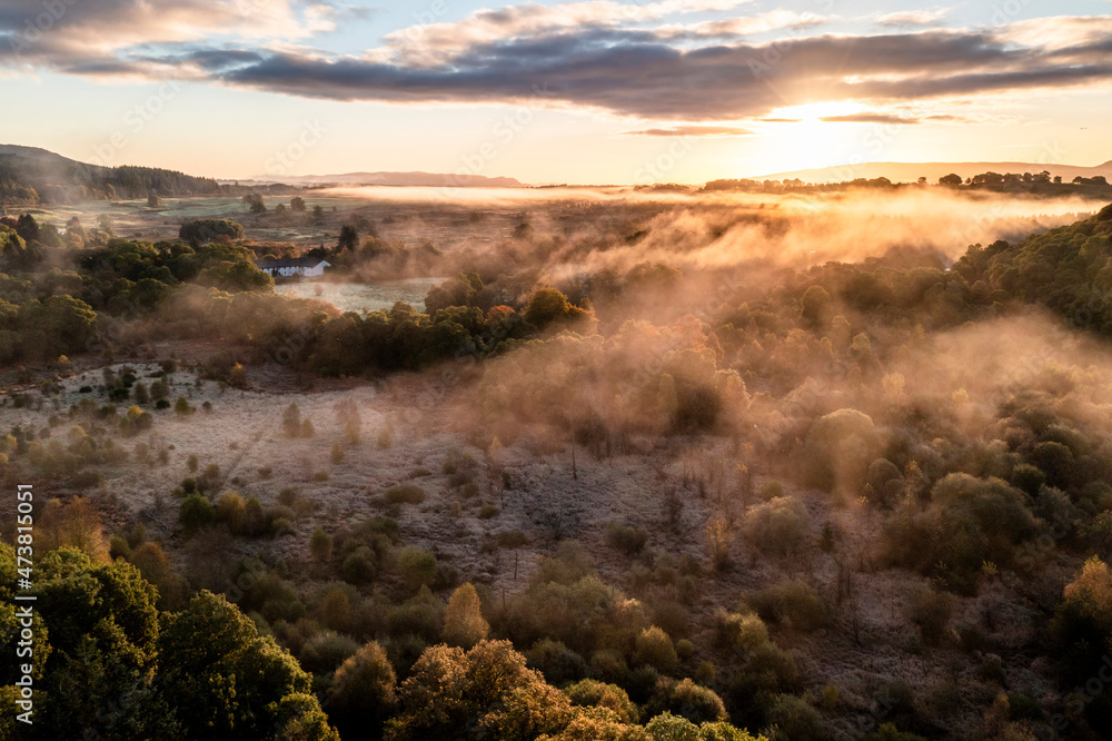 Aerial view looking across a large pine forest with mountains at sunrise with early morning mist, Scotland