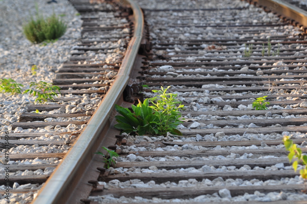Deserted train tracks Deserted train tracks