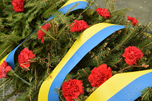 red flowers in a garden
