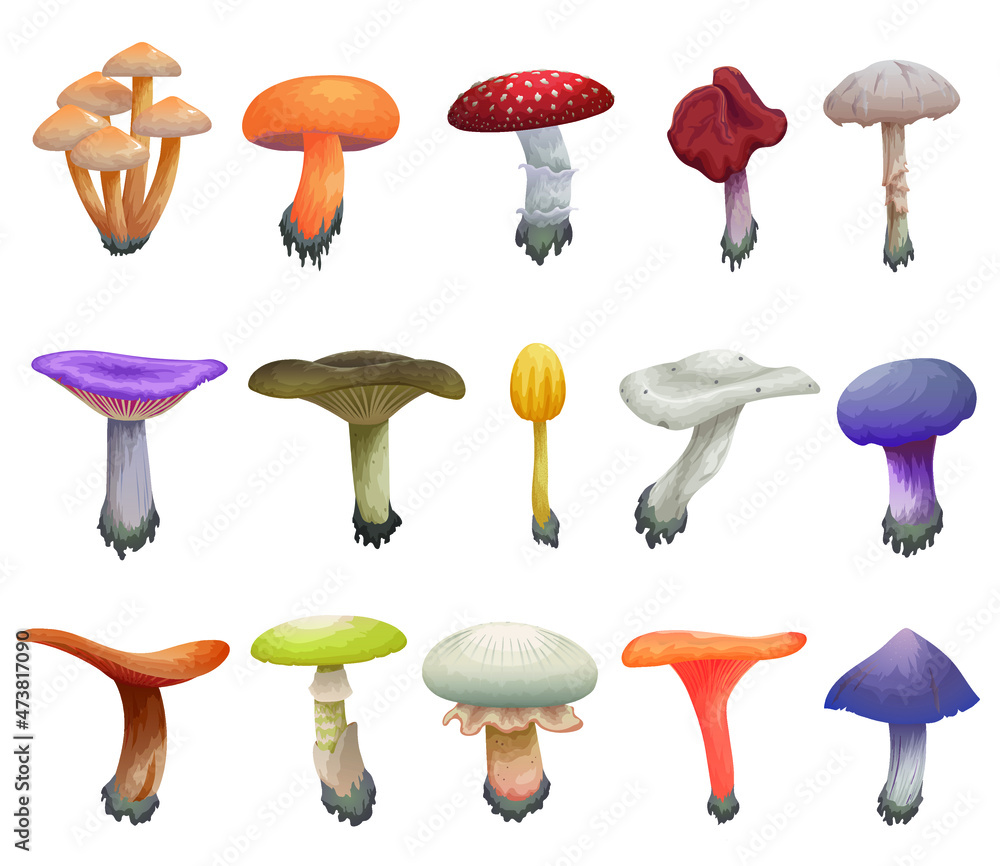 Vector illustration cartoon set of toxic mushrooms, poisonous fungus Vector illustration cartoon set of toxic mushrooms, poisonous fungus