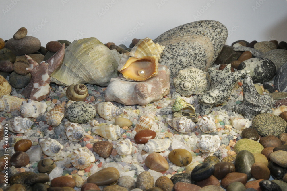 white pink pearls in a shell and stones of different breeds and shapes white pink pearls in a shell and stones of different breeds and shapes