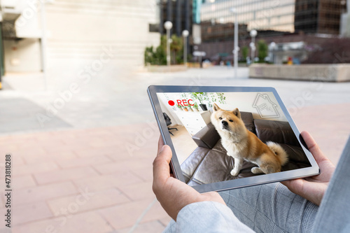 Businesswoman guarding dog through home surveillance live streaming on digital tablet photo
