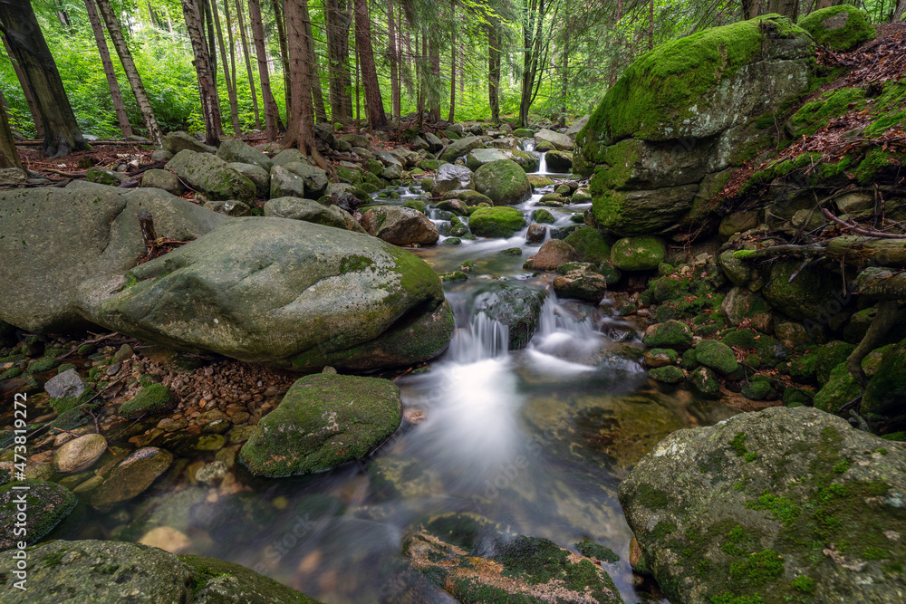 Mountain stream with stones with clear water Mountain stream with stones with clear water
