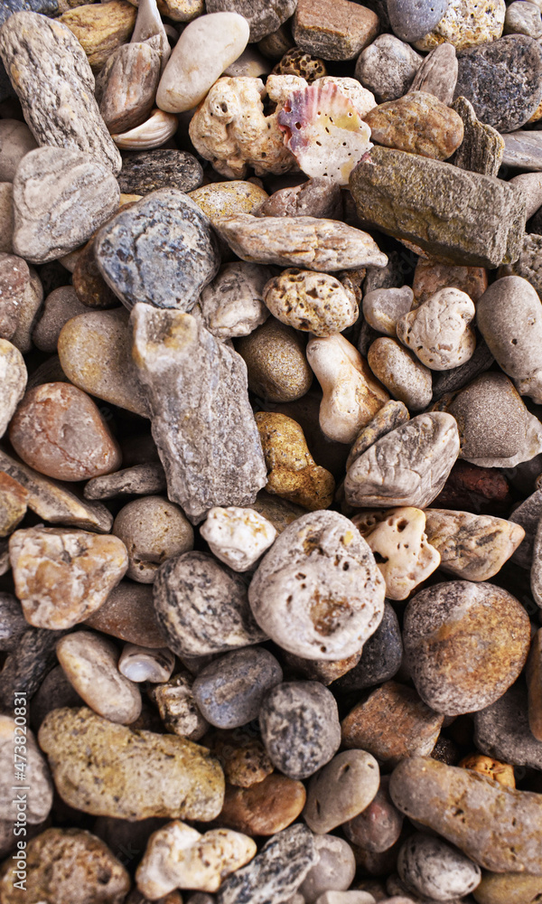 Abstract background with pebbles - round sea stones. abstract stones with dry round reeble stones Abstract background with pebbles - round sea stones. abstract stones with dry round reeble stones
