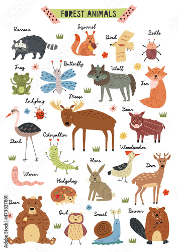 Poster naive woodland forest animals hand drawn creatures in vector illustration for nursery 
