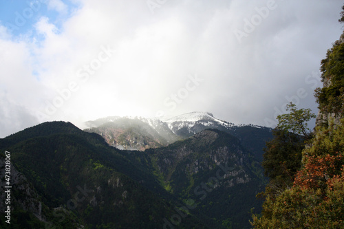 Beautiful mountains overgrown with green trees. Snow-capped mountain peaks in fog and clouds. Mount Olympus  Greece. 