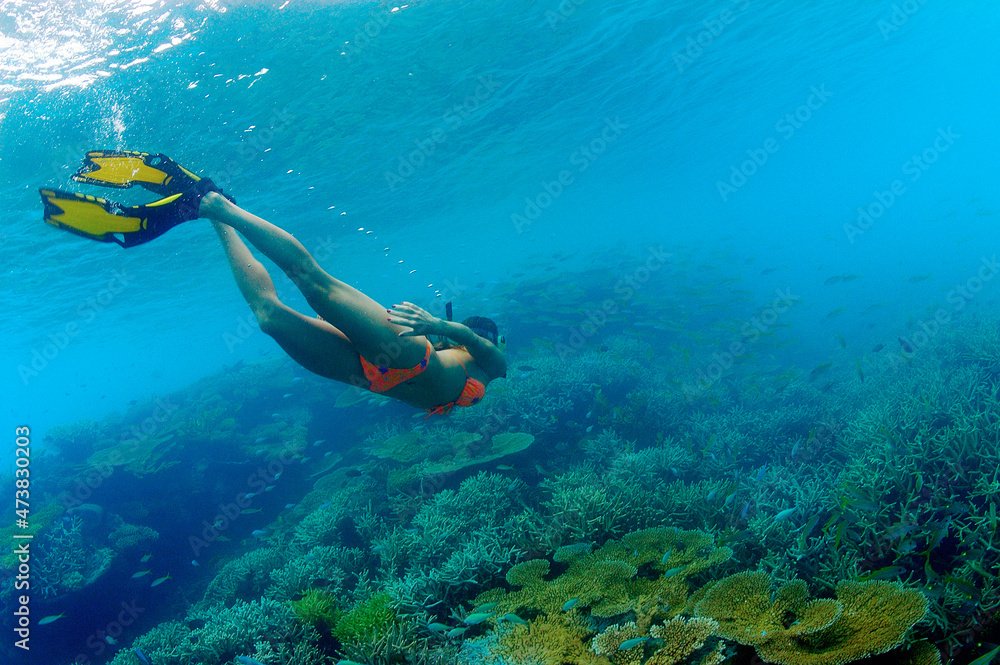 Snorkeling over shallow coral reef.