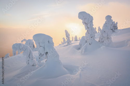 Climatic changes on the planet. Heavy snowfalls and trees which are stuck round by snow. Phenomenon of global warming. Christmas holiday concept. Carpathians mountain, Ukraine, Europe © lesia