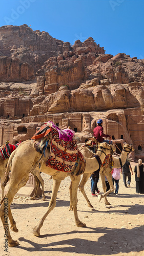 Camels in Petra, Jordan, Lost City, Seven Wonders of the World, Red Rose City