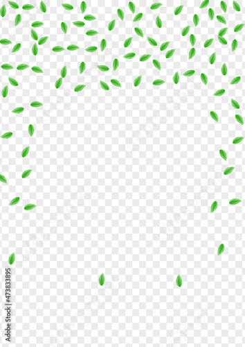 Greenish Foliage Background Transparent Vector. Greenery Refreshing Design. Decor Card. Light Green Light Illustration. Plant Vibrant.