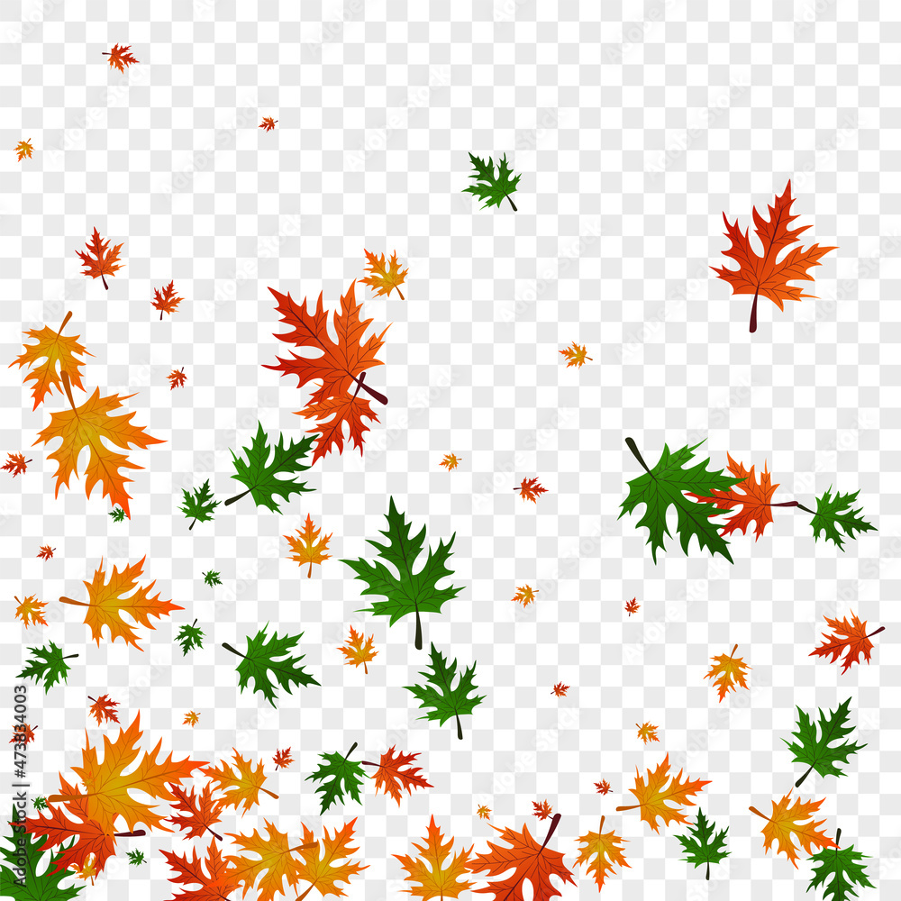 Obraz premium Golden Floral Background Transparent Vector. Foliage Wallpaper Template. Orange Ground. Logo Card. Colorful Plant Isolated.