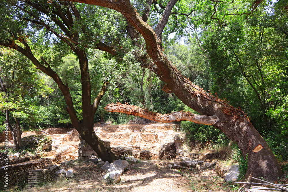 Nature of Butrint National Park, Buthrotum, Albania Nature of Butrint National Park, Buthrotum, Albania