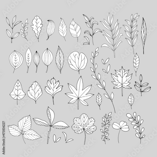 Big set with different white leaves. Hand-drawn vector illustration for your design.