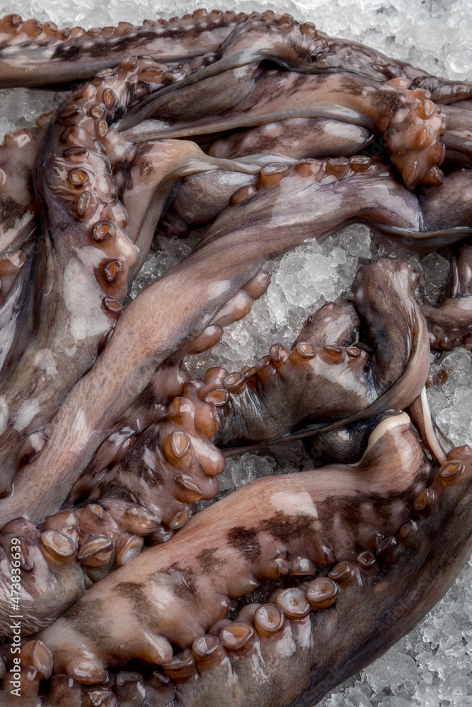 fresh octopus tentacles on crushed ice.