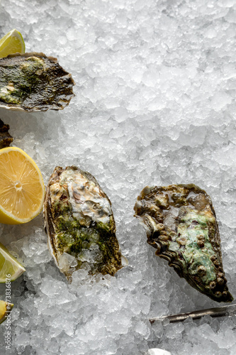 oysters and lemon wedges on crushed ice.