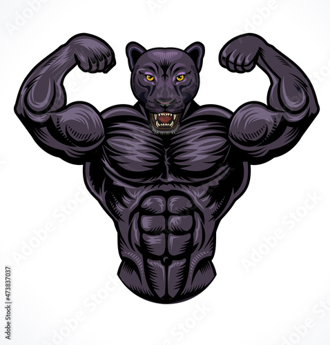 Strong and angry panther. The wild animal has huge muscles