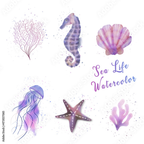 Sea life watercolor collection vector