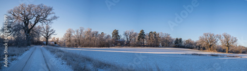 Bare frosty trees at a meadow and a the facade of old 1700s house a cold and sunny pale winter day with snow in Stockholm