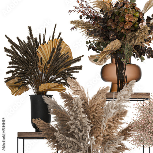 bouquets of dried thorny twigs in a vase with Arctium on a white background