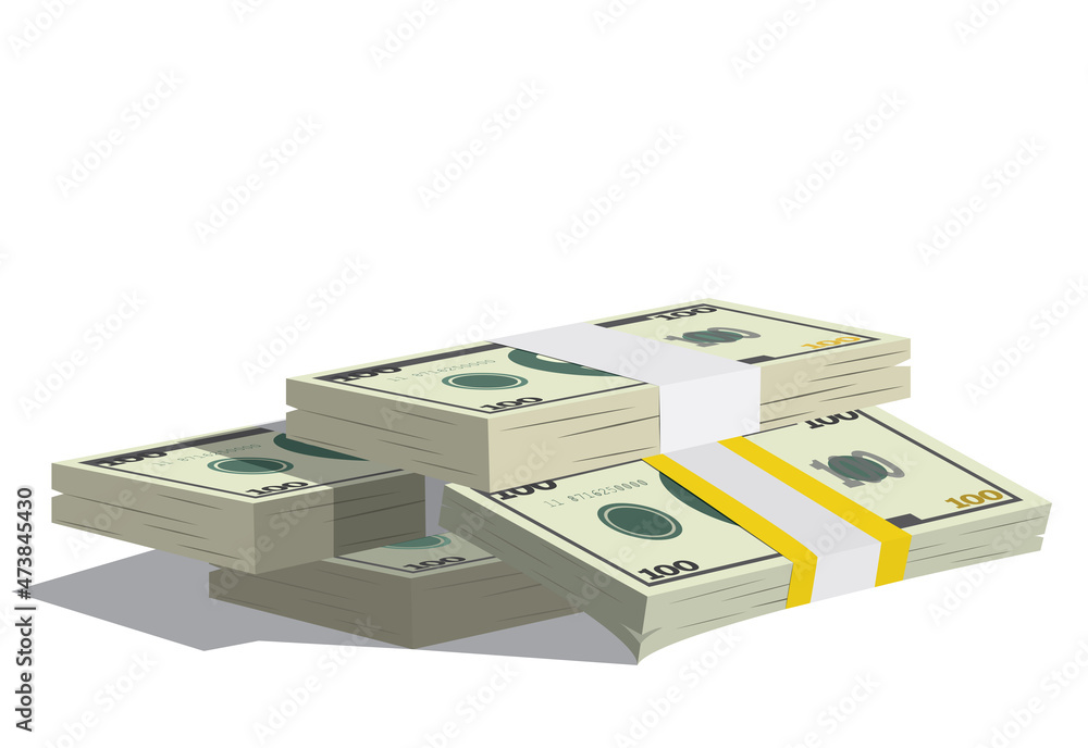 Fototapeta premium Money bundle of dollars bank notes. Pack of dollars. Vector illustration eps10
