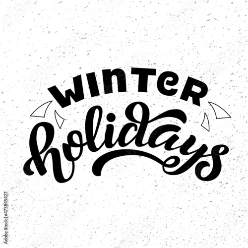 Handdrawn vector illustration with black lettering on textured background Winter holidays for winter season greeting  invitation  celebration  advertising  poster  card  banner  print  label  template