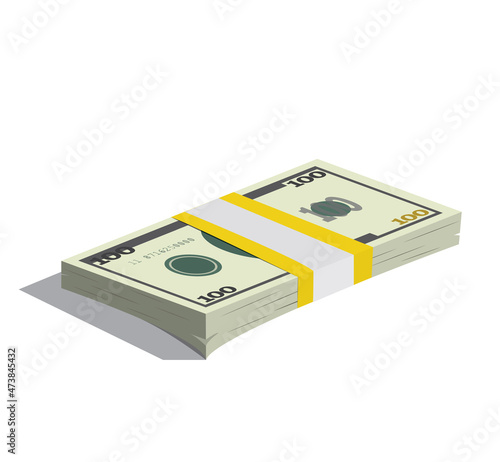 Money bundle of dollars bank notes. Pack of dollars. Vector illustration eps10