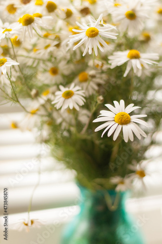 a bouquet of white daisies stands in a vase  with a blurry background