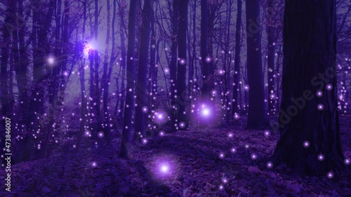 Zauberhafter Märchenwald mit umherirrenden Lichtern (Glühwürmchen, Elfen) in samtenem Violett